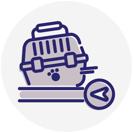 MASA-Icons-v4_Circles_Pet-Return-Transportation-Coverage